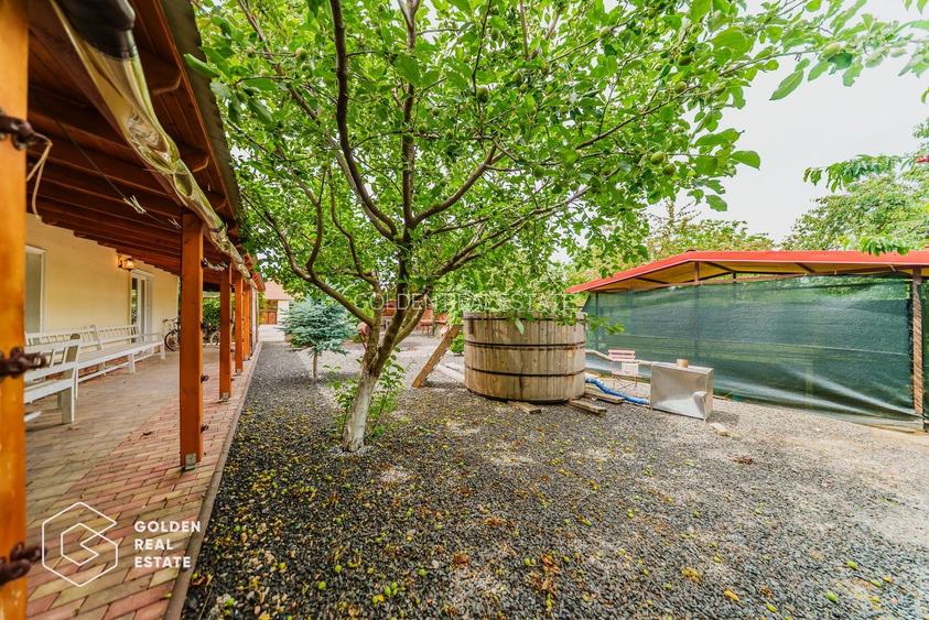 Afacere la cheie: Pensiune functionala sau casa de locuit, Ghioroc - 58