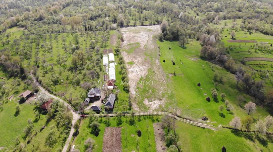 Teren 1,93 ha în Breb, Maramureș – zonă pitorească, Tăul Sărat