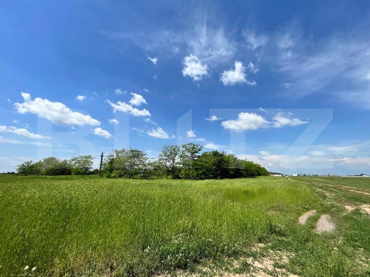 REDUCERE! Teren intravilan 4.444 mp, pretabil proiect imobiliar, zona Aeroport