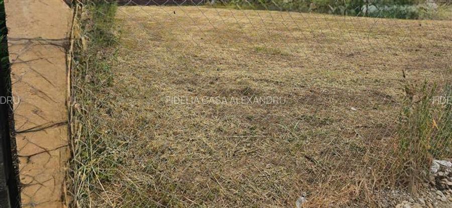 Teren de vanzare centru Valea Lupului - 2