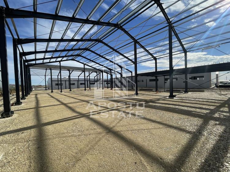 Hala noua cu rampa tir, 540 mpu, Giarmata