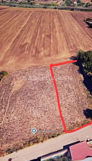 Teren intravilan 610 mp in Padurisu- Frumusani, aproape de Bucuresti - 2