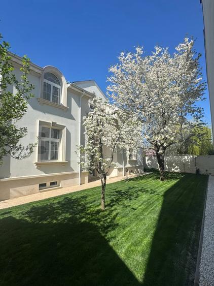 Vilă, 6 camere, 520 mp, zona Titulescu - 3