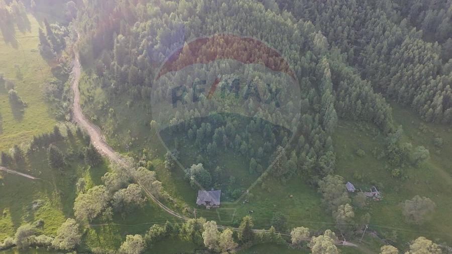 Teren 38,704mp Sirnea | 2.000 mp Intravilan | 36,704 Extravilan