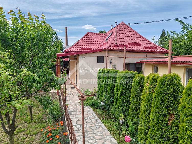 Casa individuala, 100 mp utili, 242 mp teren, Str. Trandafirilor - 6