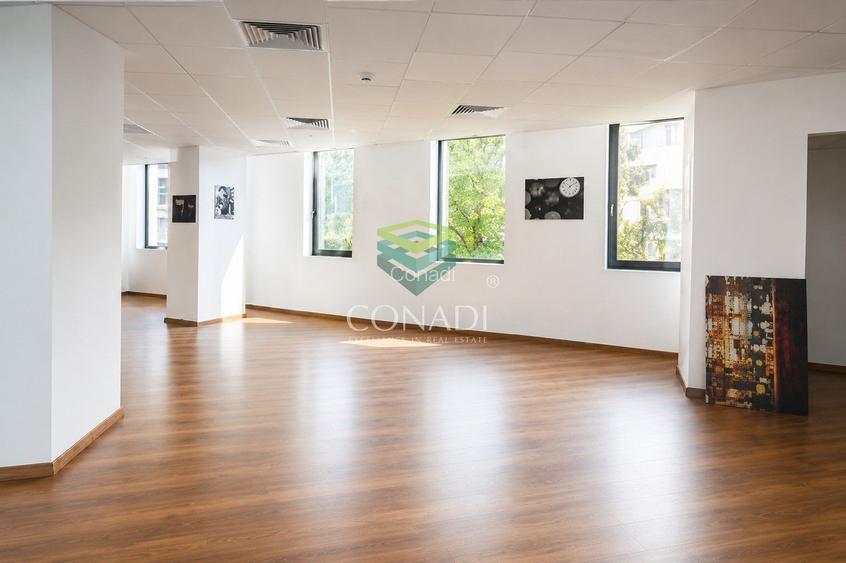 Kiseleff area,  office space for rent , 160 sqm - 2