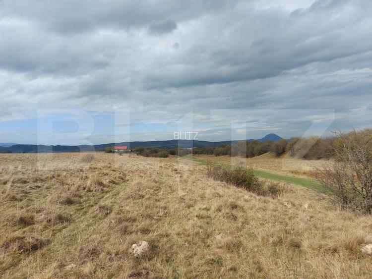 Teren de vanzare in Rasnov zona Glejerie, 10.000 mp - 4