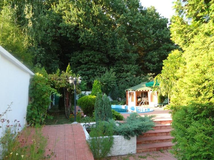 Vila piscina superba gradina matura cu iesire directa la padure