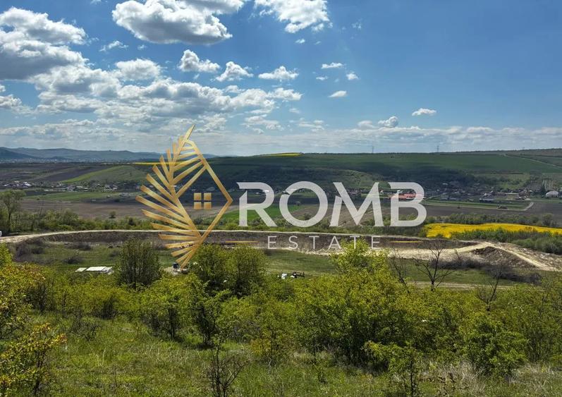 Teren vanzare ,Luna de jos , 4.5 hectare cu C.F , Extravilan 3.5Euro/Mp , cu LAC