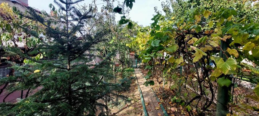 Proprietar casa individuala Bucurestii Noi-Aeromodelului- FARA AGENTII   - 13