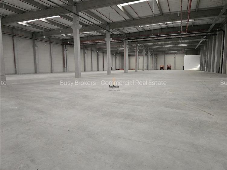 Spatiu Industrial - 8200 mp - Logistica - Depozitare - Distributie - 4