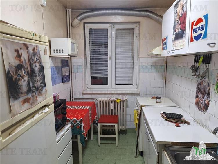 Apartament 3 camere teiul doamnei