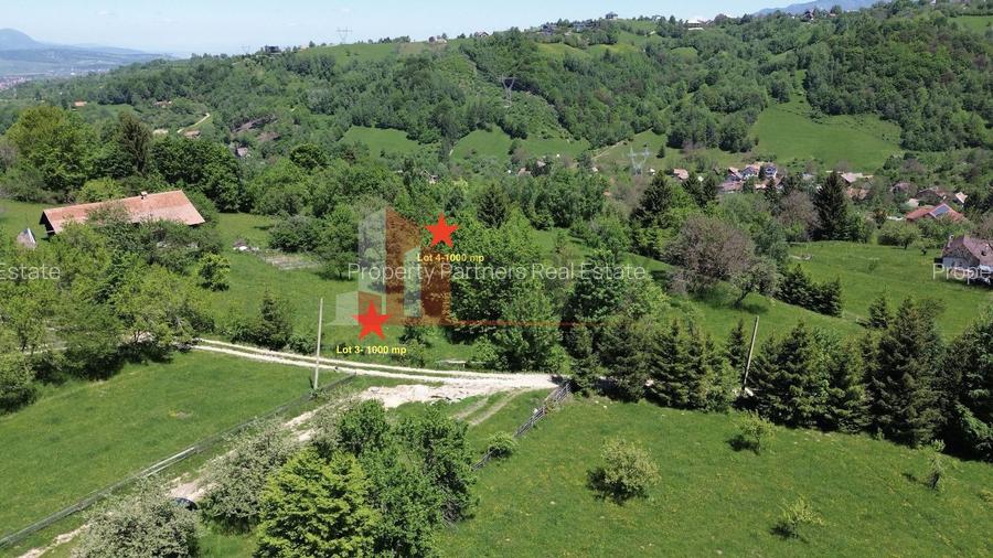 Loturi de teren 1.000 mp | Poarta – Bran | Vedere panoramică către Munții Bucegi