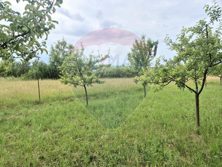 Teren 2,255mp Sighetu Marmatiei / Strada Lazul Sesului