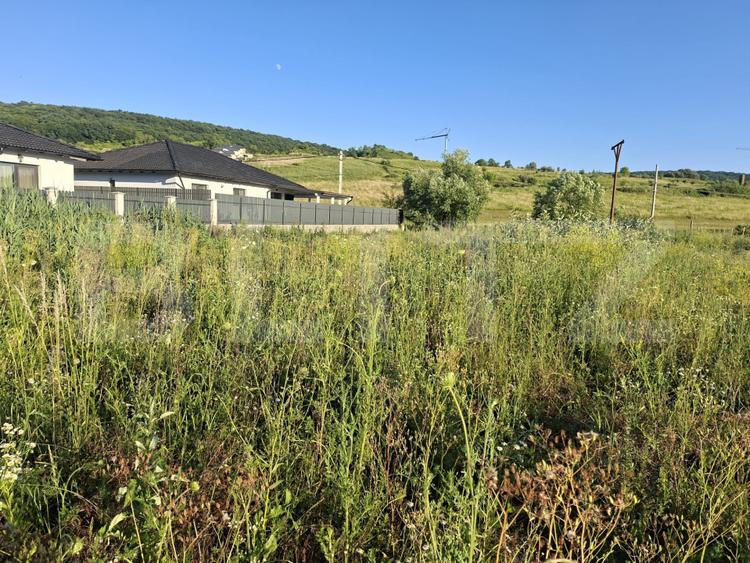 Teren intravilan, 1000 mp, zona Central - Livezeni