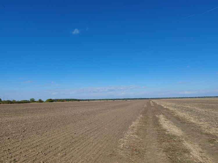 Teren de 19.000 mp de vanzare in Ștefanestii de Jos - ideal pentru hale.