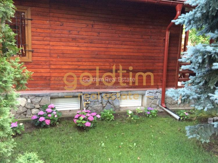 CASUTA DIN POVESTI/CURTE 1100MP/GRADINA MAGICA/SAUNA/PISCINA/SNAGOV - 53