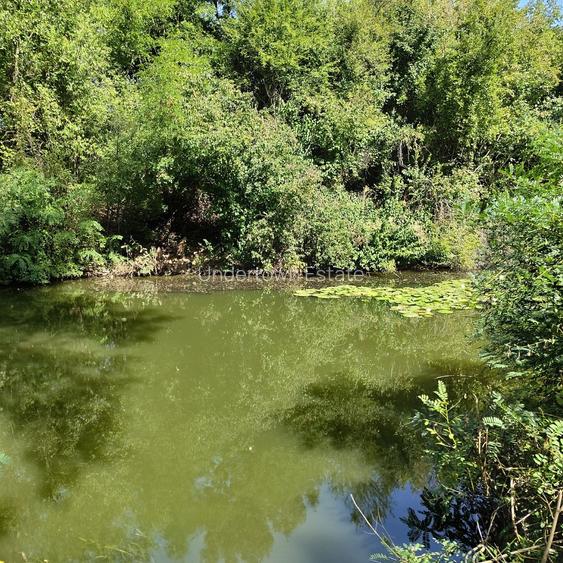 Teren Intravilan Unic pe Malul Lacului Snagov – Ideal pentru Cabana Ta - 12