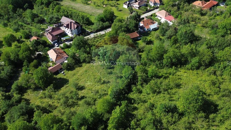 Casă de vânzare in natura la tara - Mihaesti - 5