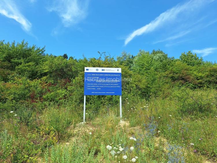 Teren intravilan 5.800 mp, Baciu Vatra Satului Vechi, Panorama superba - 8
