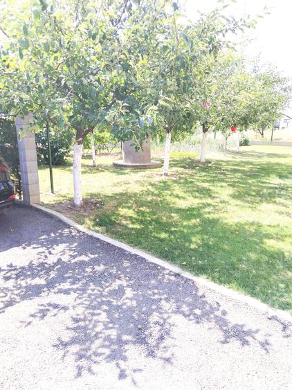 Casa P+1E zona Starzii Iasului -6 ari teren mobilata 219500eur neg