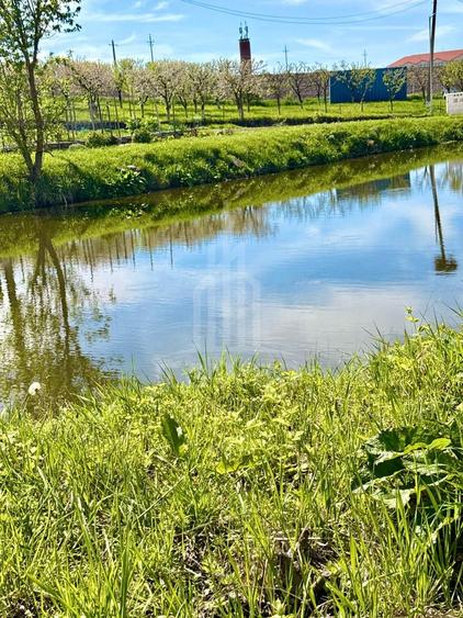 Teren intravilan, cu proiect de casa la Sura Mica
