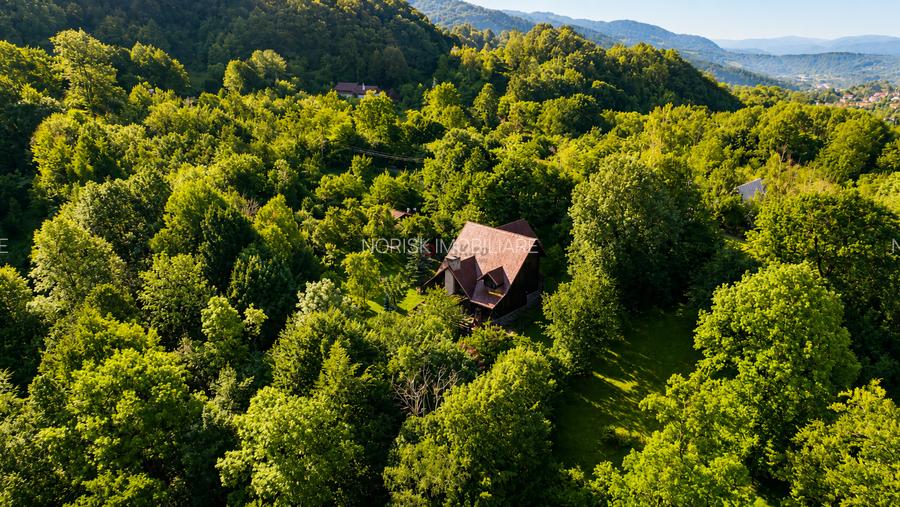 Mountain Chalet | Private Resort | Investment - Nistoresti - 2
