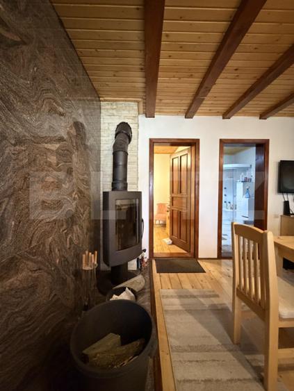 Casa de vacanta cu potential turistic, 1603 mp teren, Cernatesti