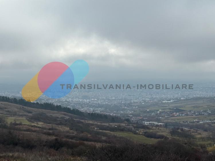Teren extravilan 1000 mp, Valea Fanațelor