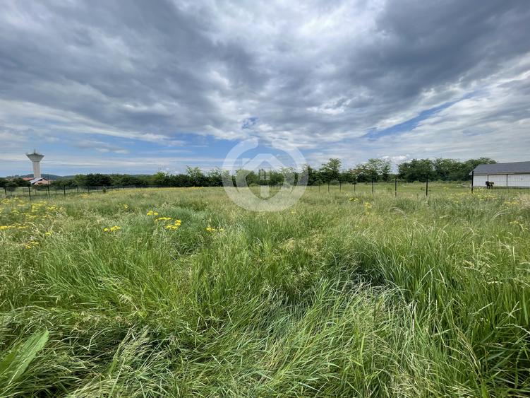 Teren intravilan PUZ Aprobat în Cristian, Sibiu – 3100 mp