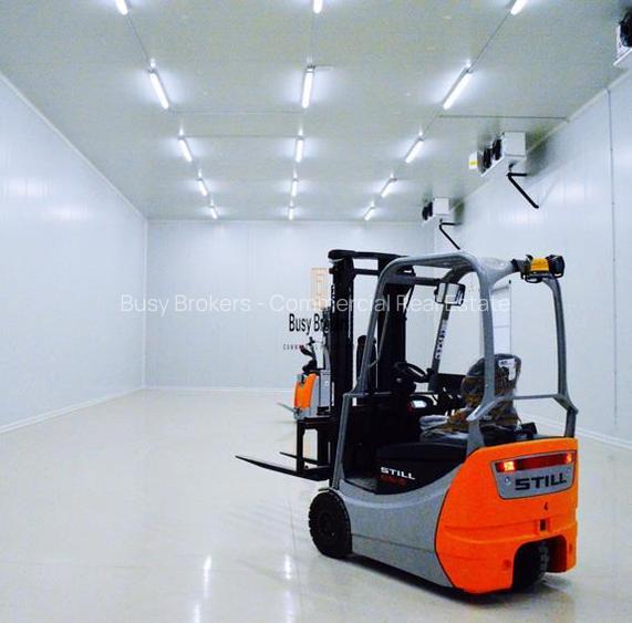Spatiu Industrial - 1200 mp - Depozitare - Distributie - 7