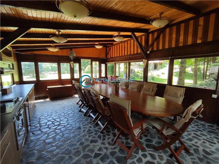 Royal Imobiliare -vanzare vila/ casa de vacanta zona CAMPINA - 23