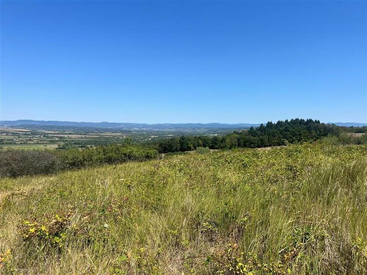 RECO Teren extravilan Holod 27400 mp