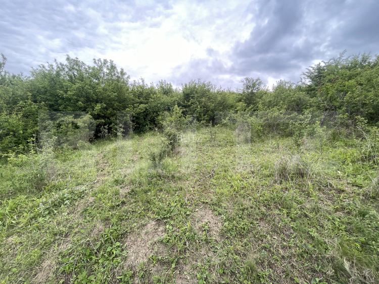 Teren extravilan 5200 mp – Budacul de Jos-  Investiție excelentă! - 2