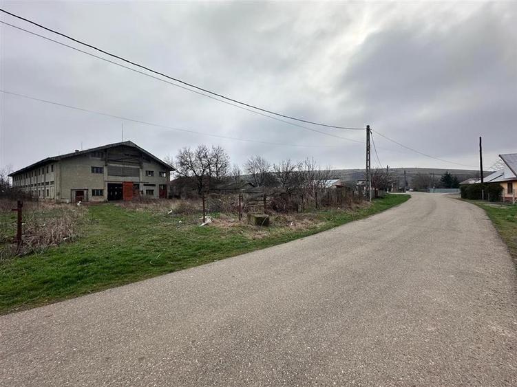 Hala, spatiu comercial, vad, de la 423mp la 1744mp, Vama Albita