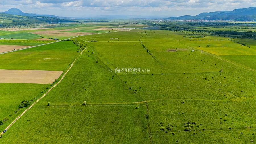 Teren de investiție în zona Tohanul Nou - Bran  5.800 mp - 18
