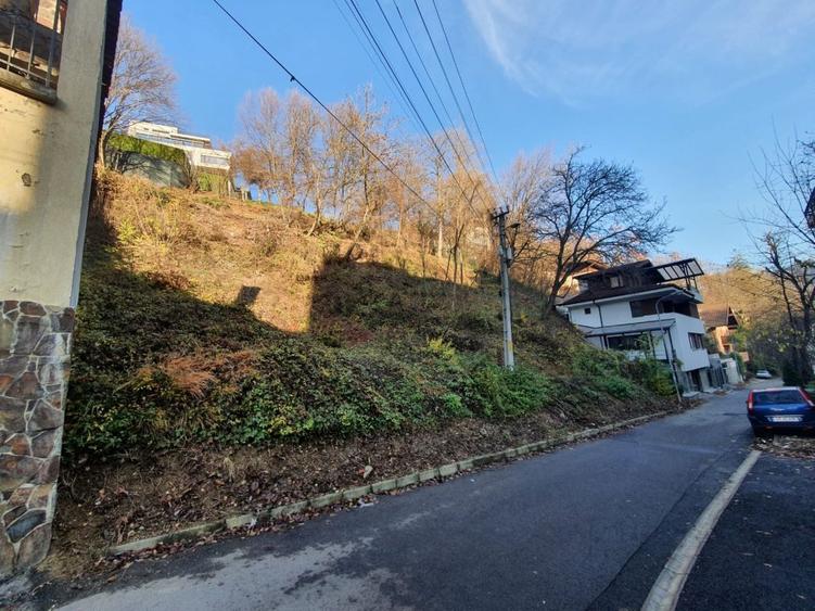 ZONA DEOSEBITA CU MULTA VERDEATA