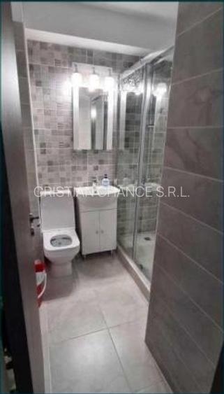 38358  Apartament 2 camere Sat Vacanta - 2