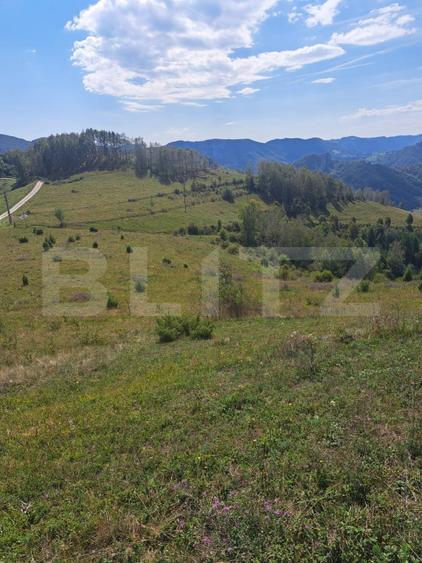 Teren extravilan 4.604 mp cu curent – ideal pentru cabană, zona Trans Apuseana