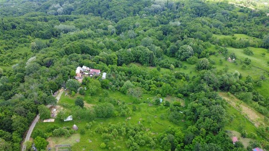 DEALUL MALULUI, TEREN 1500 MP INCONJURAT DE PADURE