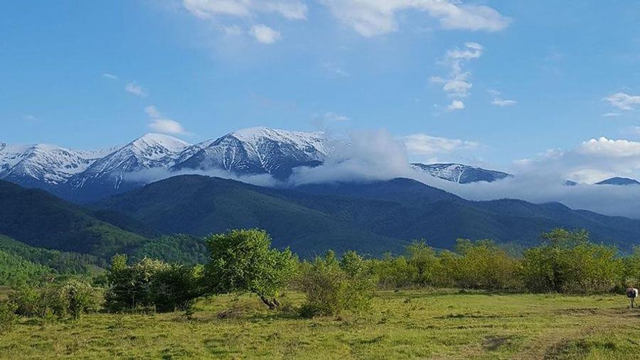Vanzare parcele de teren 862mp / 1740mp pe Valea Avrigului, Județul Sibiu