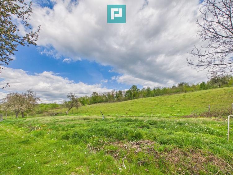 Casă cu teren de 17.681 mp, în loc. Hălmăgel, Arad