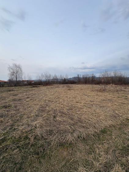 Teren intravilan 10.000 mp plan | Utilități în apropiere | La 8 min de Baia Mare