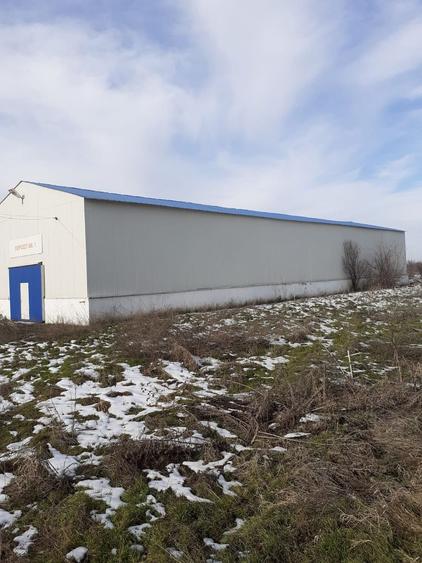 Hala industriala Frumusani - Buciumeni