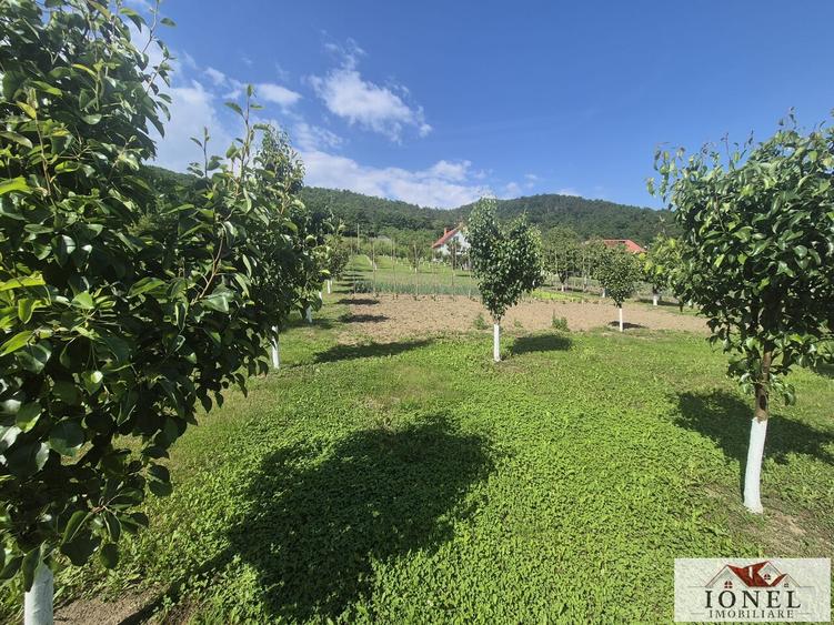 Teren intravilan (2292mp) de vanzare in Vintu de Jos