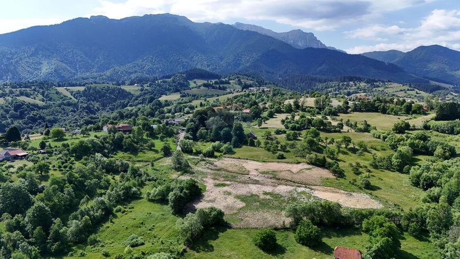 Teren intravilan 1900 mp| Bran / Sohodol | Priveliște superbă