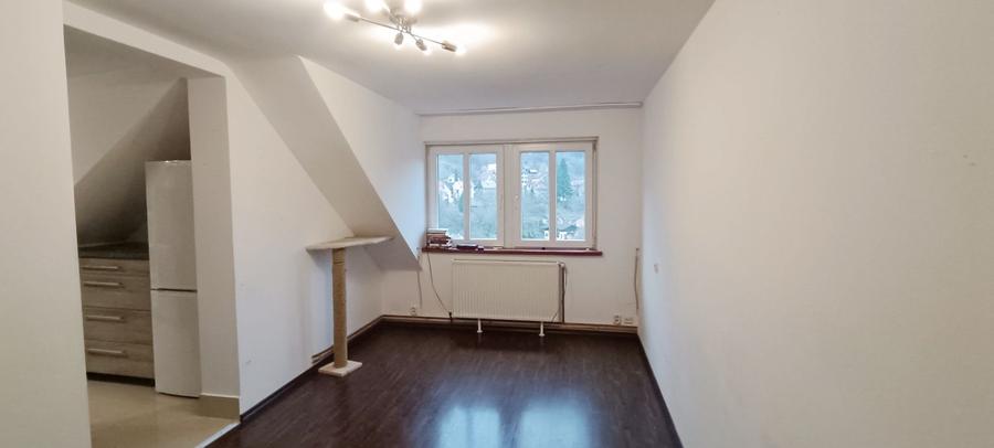 Proprietate cu priveliste si armonie placuta-Brasov