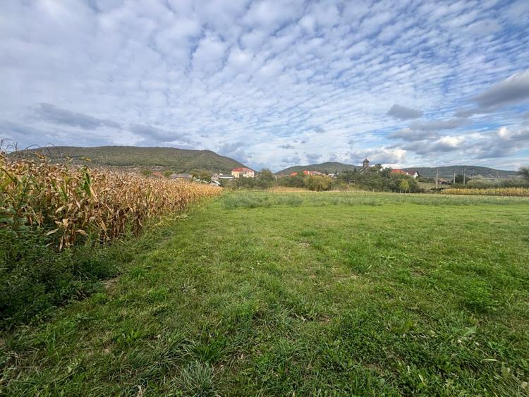 TEREN INTRAVILAN DE VÂNZARE – 2.500 MP – LA 15 KM DE BISTRIȚA
