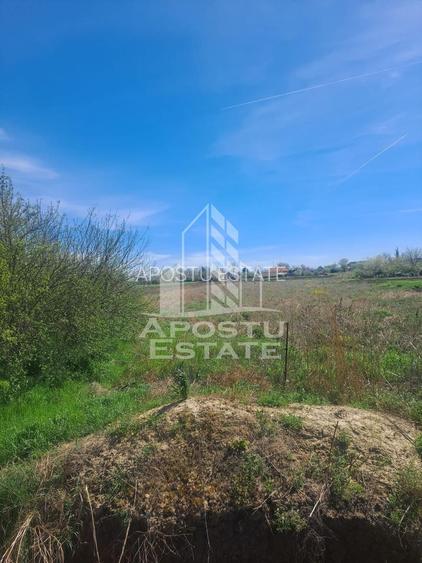 Casa individuala in Cruceni ,la granita cu Serbia - 9