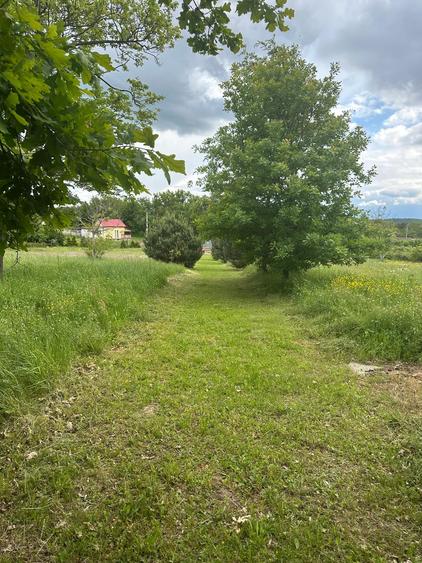 Casa Pensiune in Viile Satu Mare teren 1,63 ha, 11 camere, 10 bai